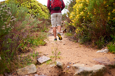 Buy stock photo Hiking, nature and person back with backpack, workout and adventure on mountains and path with plants. Journey, fitness and walking with camping gear and bag for exercise and explorer with trail