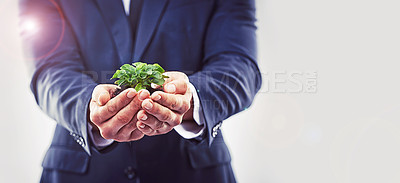 Buy stock photo Closeup, businessman and plant for sustainability, growth and agriculture on white background. Man, hand and leaf for ecology, corporate and green eco friendly development on mockup in studio
