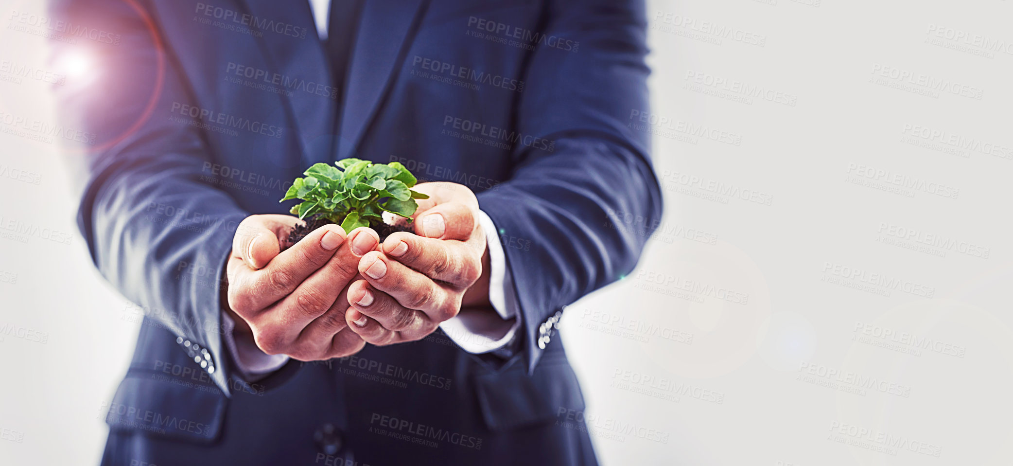 Buy stock photo Closeup, businessman and plant for sustainability, growth and agriculture on white background. Man, hand and leaf for ecology, corporate and green eco friendly development on mockup in studio