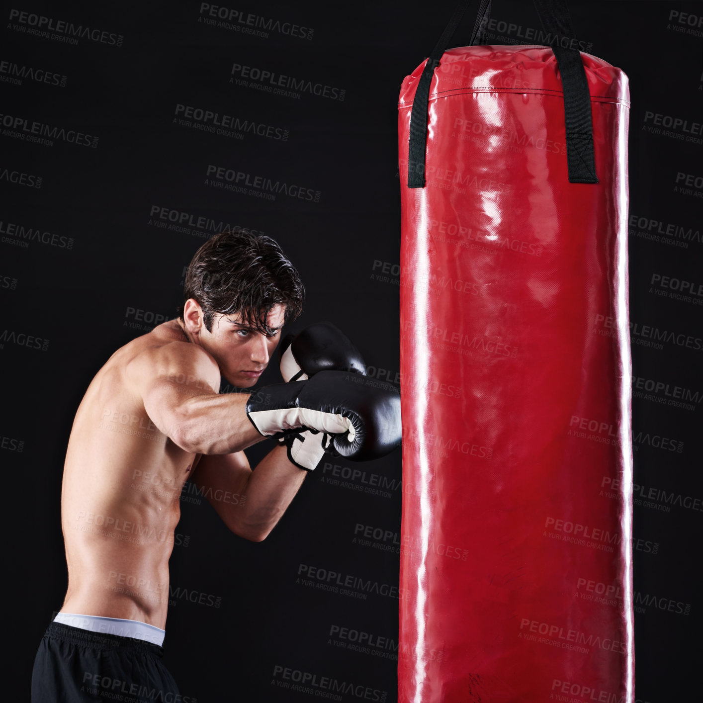 Buy stock photo Man, punching bag and martial arts with fitness, challenge and fighter with gloves and wellness with workout. Boxer, practice and athlete with exercise and training with endurance, health or progress