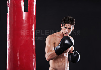 Buy stock photo Fitness, boxing and portrait of man with punching bag in studio for exercise, challenge or competition training. Power, muscle or champion boxer at workout with confidence, fight and black background