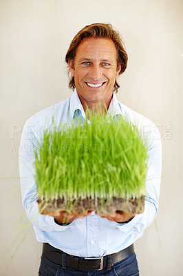 Buy stock photo Grass, businessman and portrait with plant and smile for sustainability and growth for green, material and lawn. Mature male and happy for landscaping or soil for planting on ground in nature