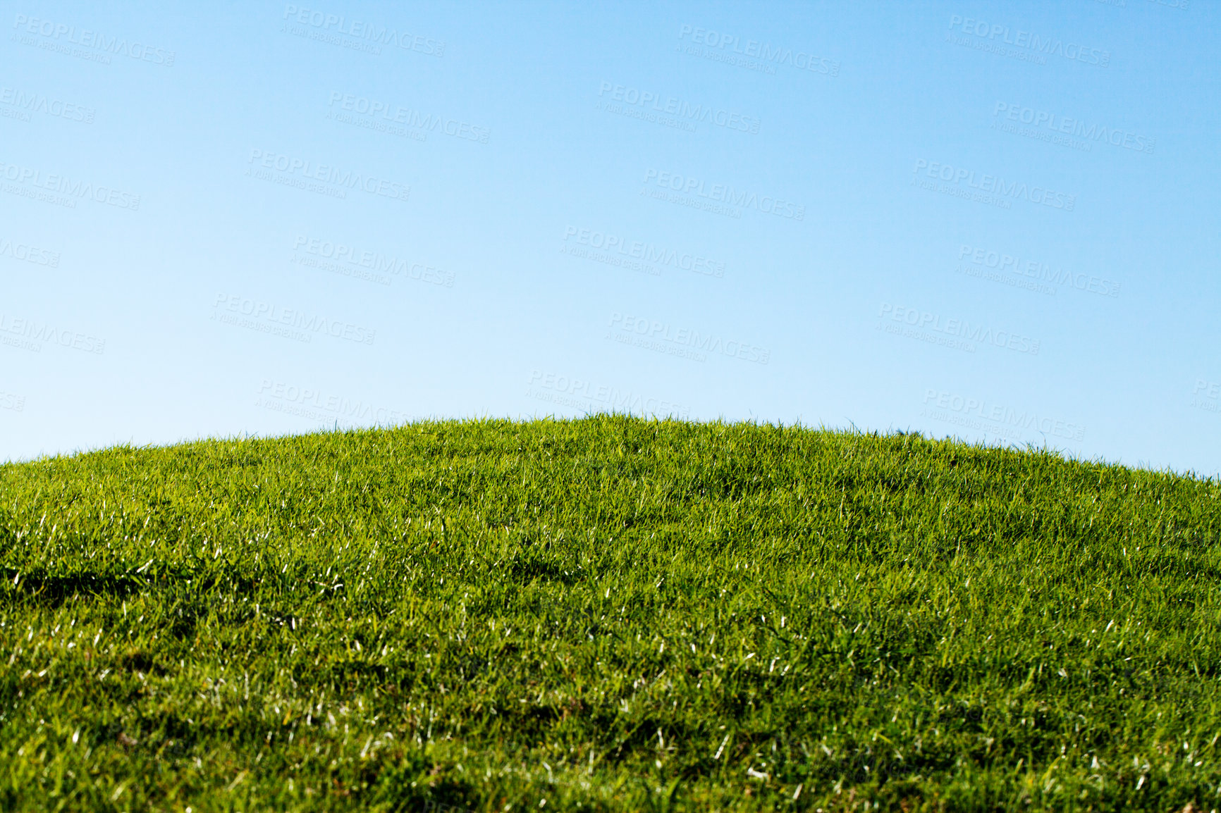 Buy stock photo A landscape photo of a green field and blue sky