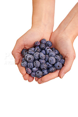 Buy stock photo Bunch, blueberries and woman hands in studio for healthy, organic and balanced diet by eating nutritious snacks. Person, fresh and natural ingredients with vitamin on isolated white background