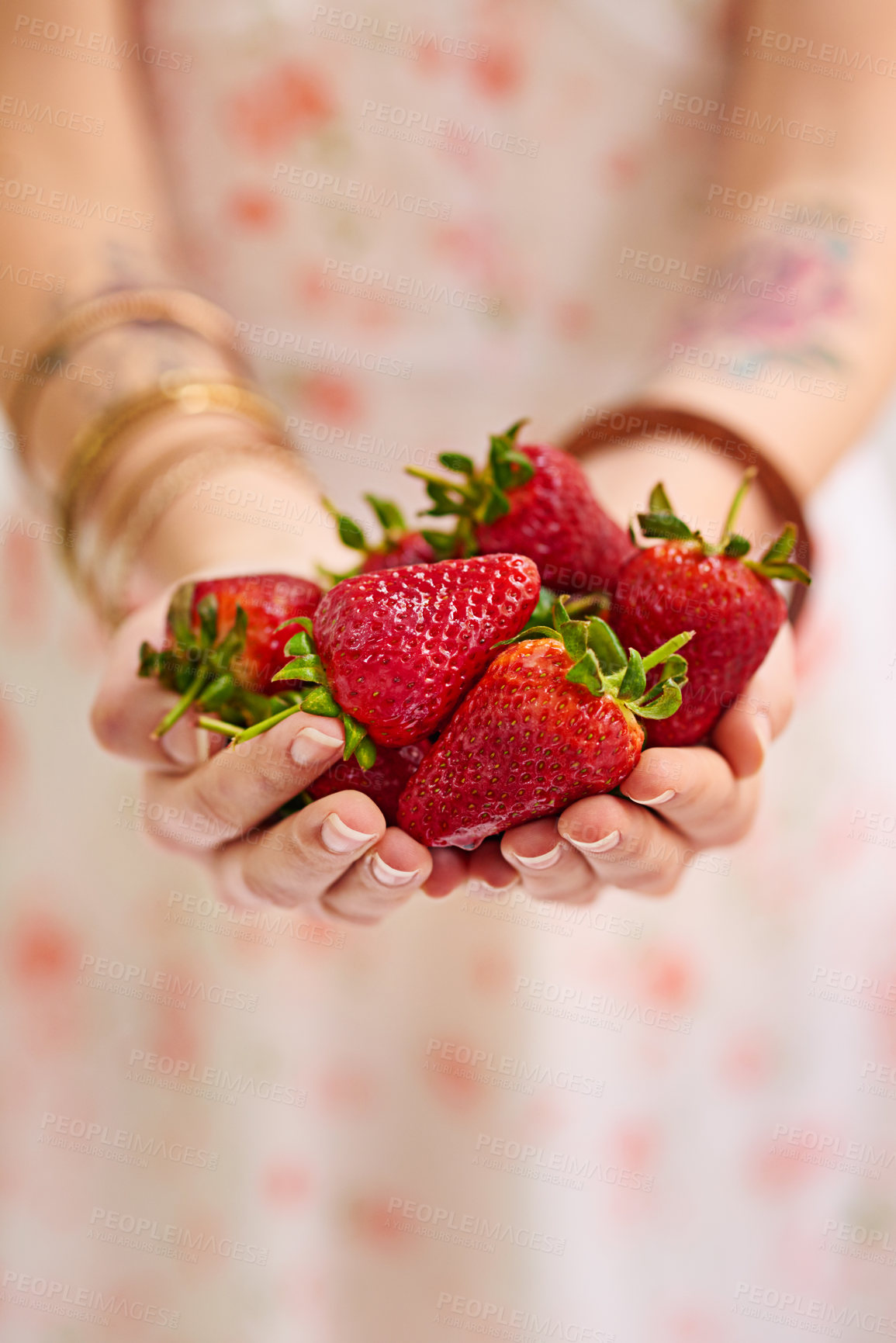 Buy stock photo Bunch , strawberries and woman hands as a vegetarian for healthy, organic and balanced diet by eating nutritious snacks. Person, fresh and natural ingredients with vitamin from farming plantation