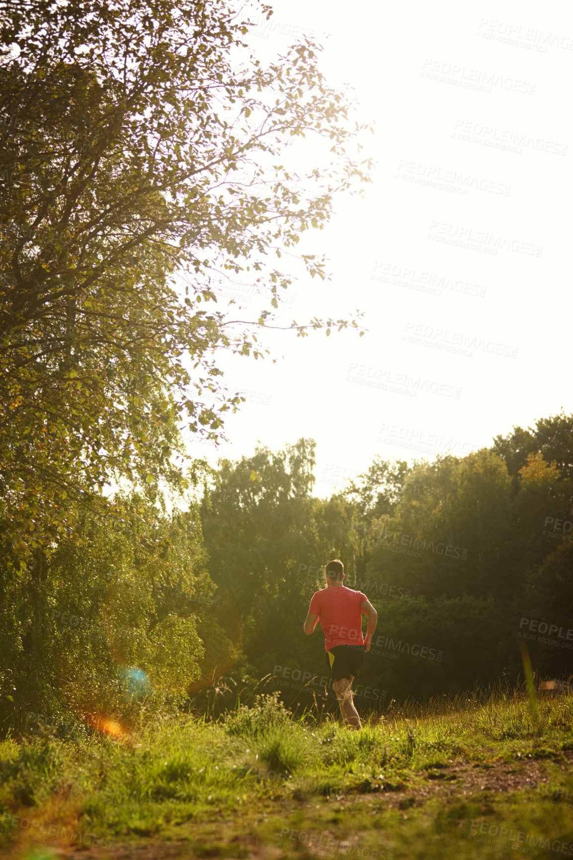 Buy stock photo Man, woods and trail running outdoors with athlete for endurance with training for physical fitness. Male person, back and cross country for workout routine, race and drill for performance in balance