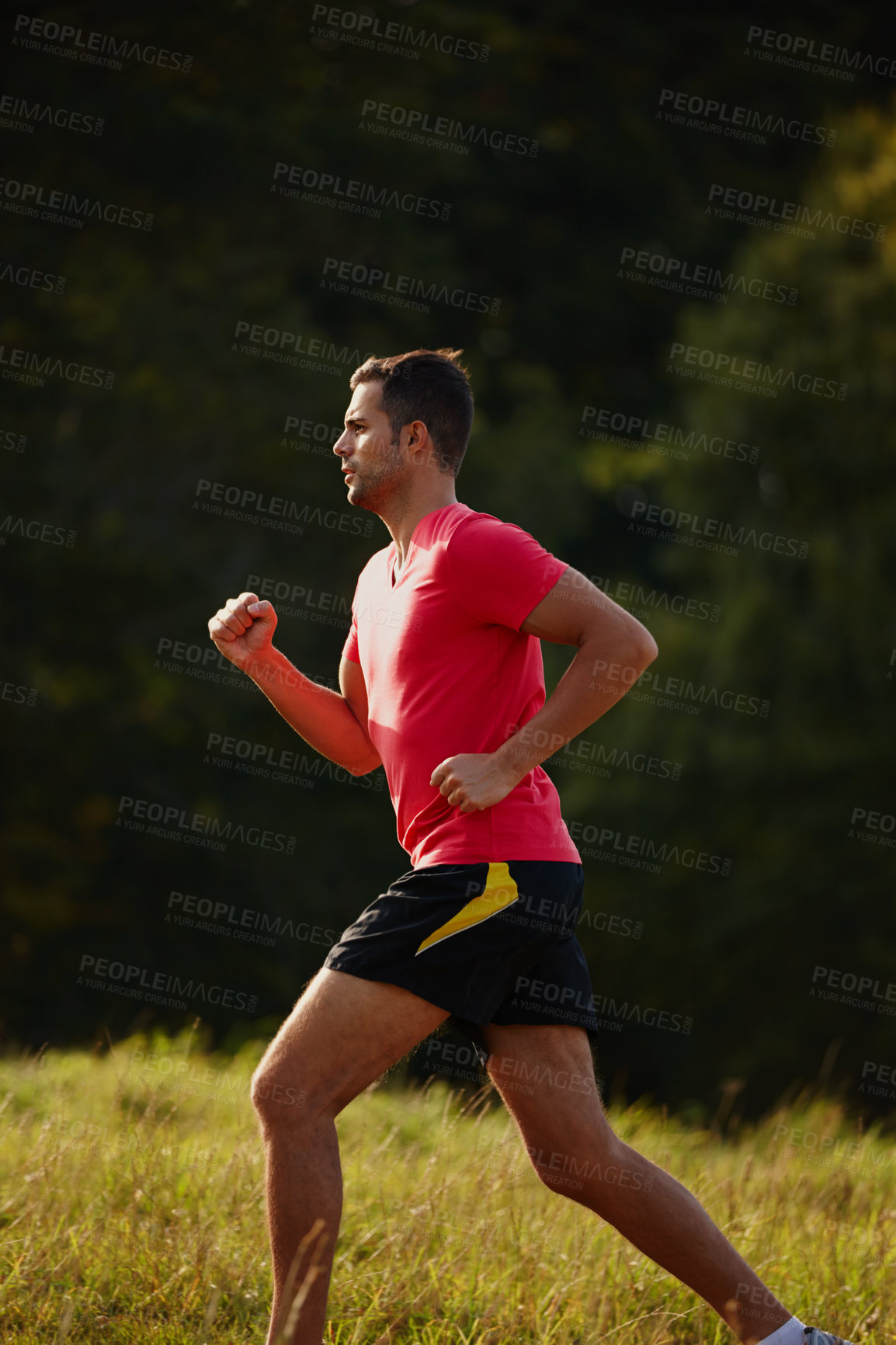 Buy stock photo Man, woods and trail running outdoors with athlete for endurance with physical fitness for training. Male person, back and cross country for workout routine, race and drill for performance in balance