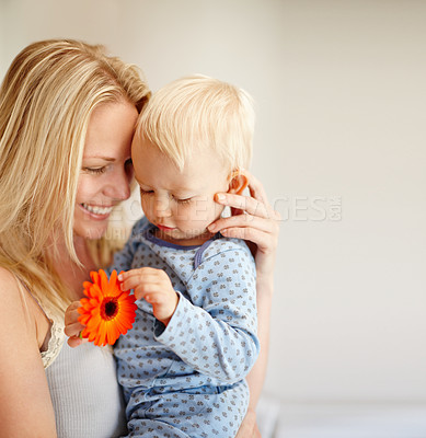 Buy stock photo A loving mother holding her son as he looks at an orange flower