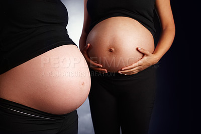 Buy stock photo Closeup of two unknown pregnant women standing close together in the studio. Zoomed in on baby bump of expecting mothers to be and friends. Touching and holding bare belly and tummy in anticipation