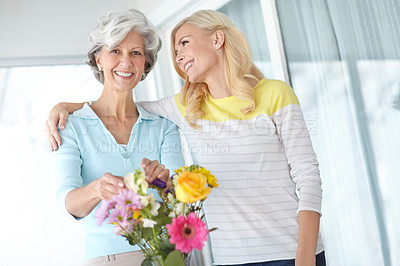 Buy stock photo Portrait of a senior woman enjoying some flower arranging with her daughter