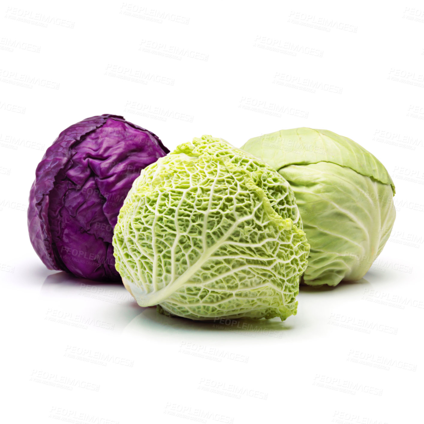 Buy stock photo Shot of a fresh cabbage