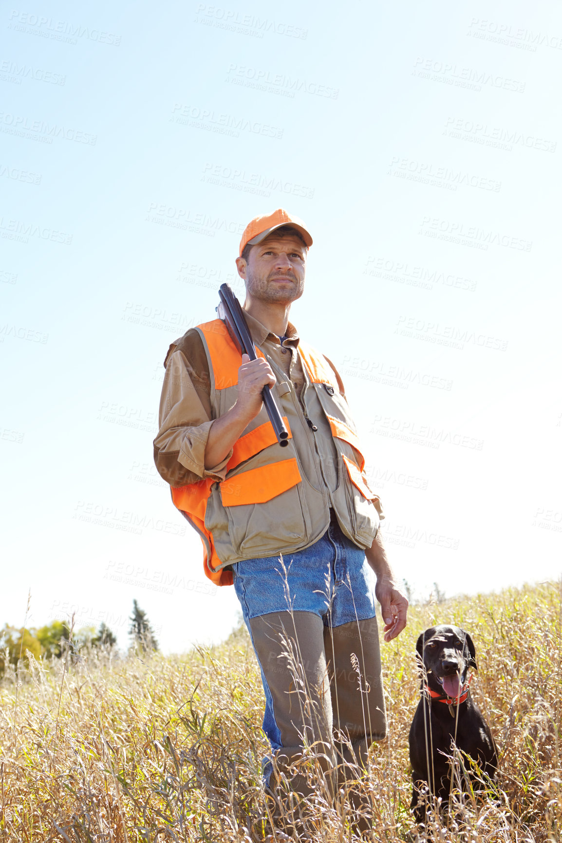 Buy stock photo Man, dog and rifle in outdoor for hunting, monitor park and search for danger together in nature. Mature person, pet animal and hunter helper in field to guide in woods, partnership and tracking team