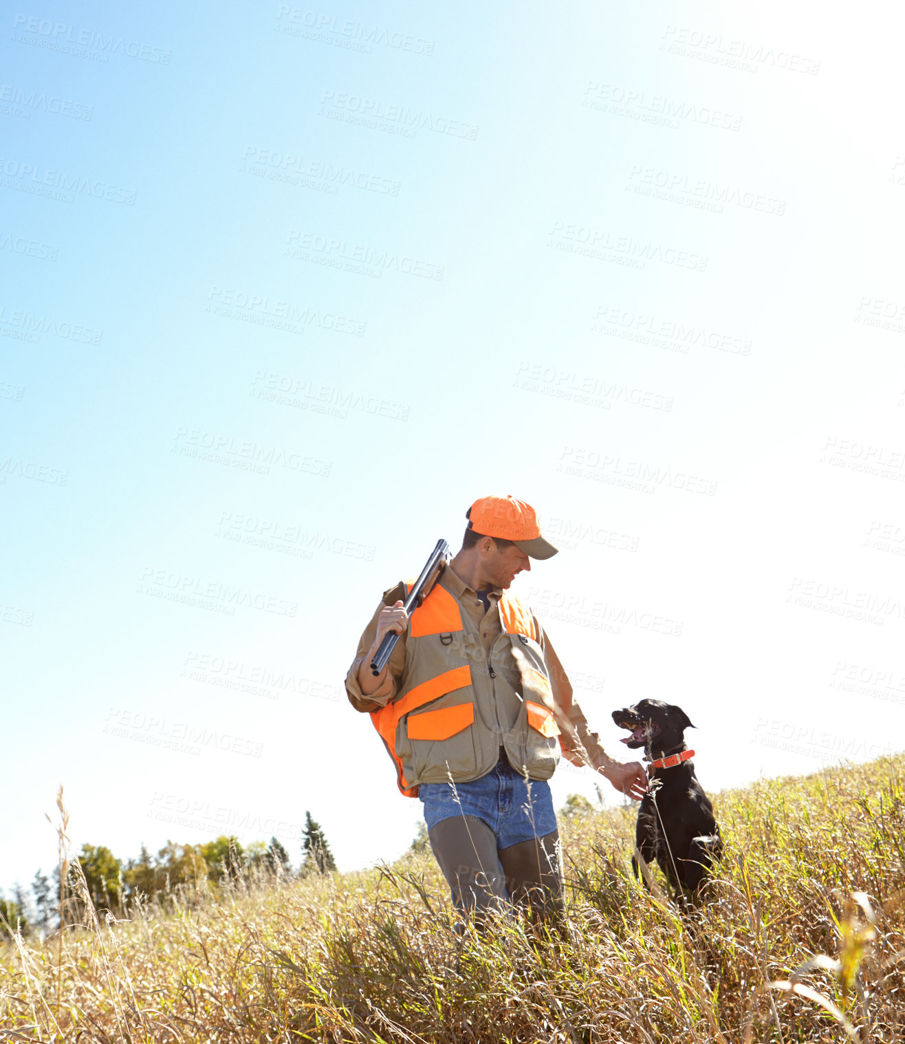 Buy stock photo Man, dog and outdoor for hunting game, stroke and search for prey together in nature. Mature person, pet animal and hunter helper in field to guide in mockup, partnership and team tracking in sports