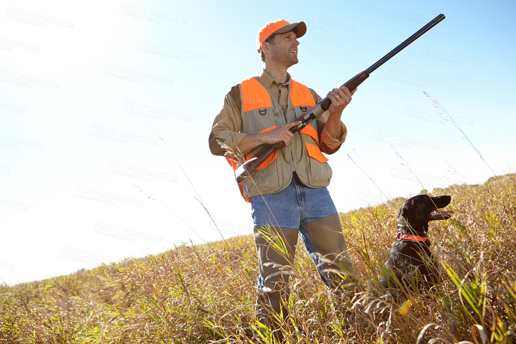 Buy stock photo Man, dog and rifle in bush for hunting, monitor park and search for danger together in nature. Mature person, animal and hunter helper in field to guide in outdoor, partnership and tracking mockup