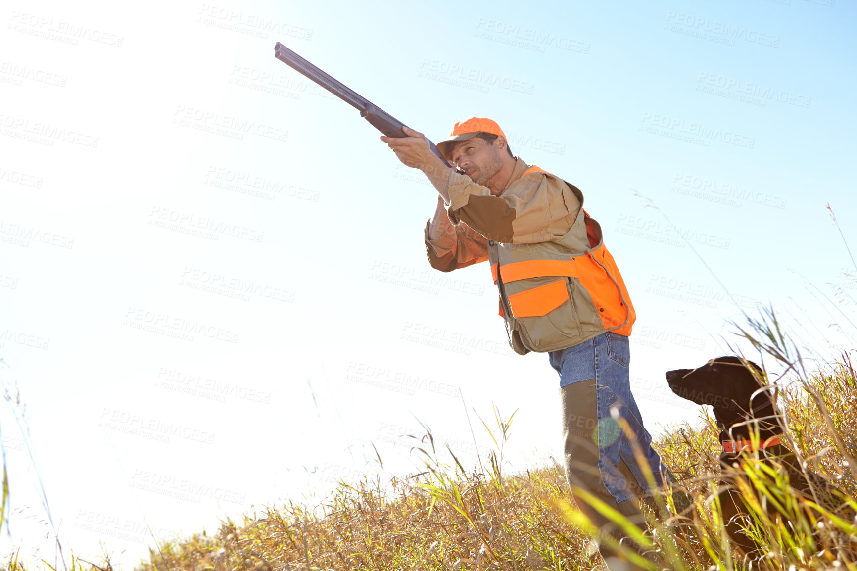 Buy stock photo Man, dog and outdoor for shooting season, rifle and stalking prey together in nature. Mature person, pet animal and hunter support in field to guide in woods, partnership and tracking in sports