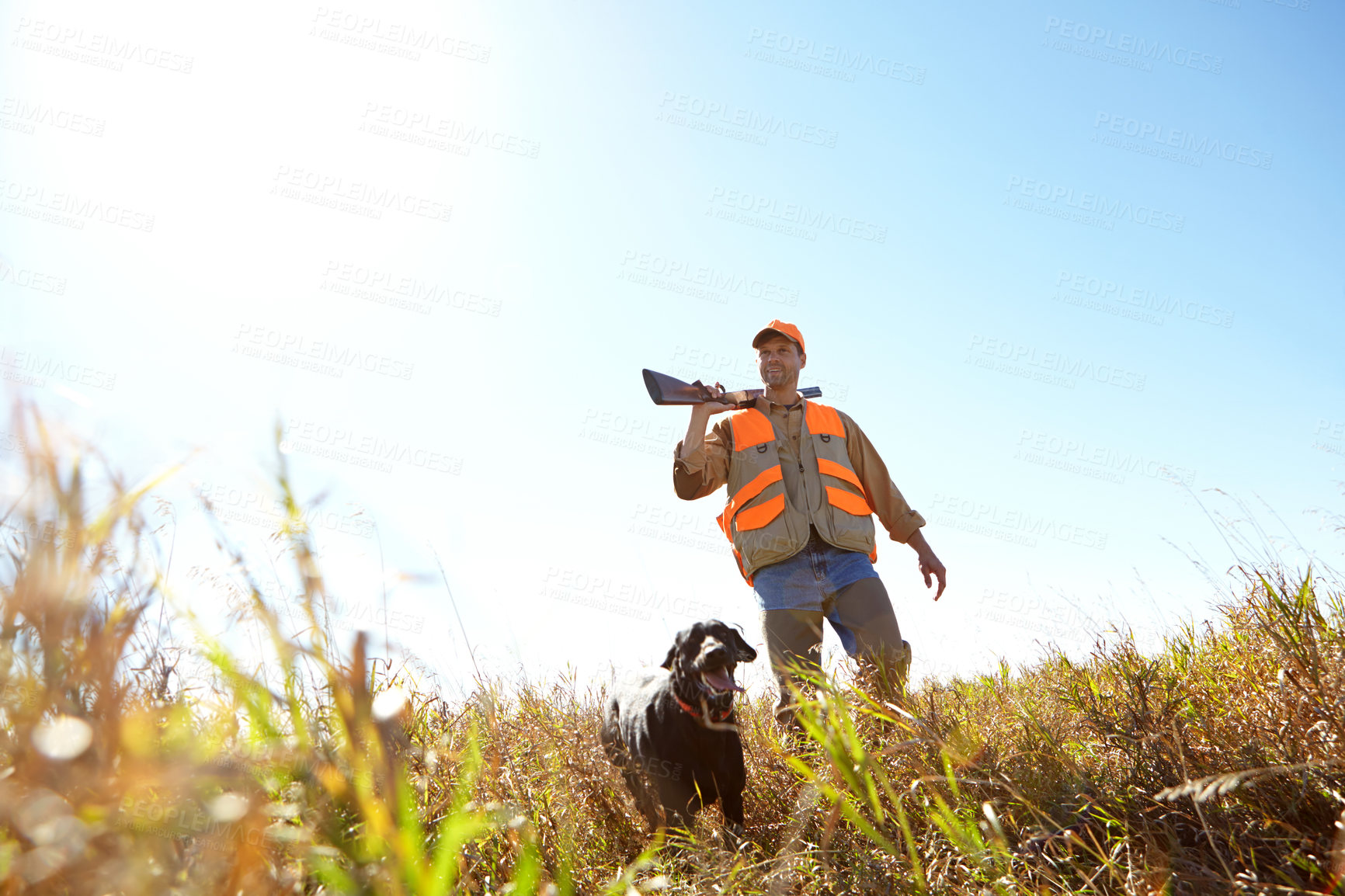 Buy stock photo Man, dog and outdoor for hunting trip, rifle and stalking prey together in nature bush. Mature person, pet animal and hunter support in field to guide in woods, partnership and tracking in sports