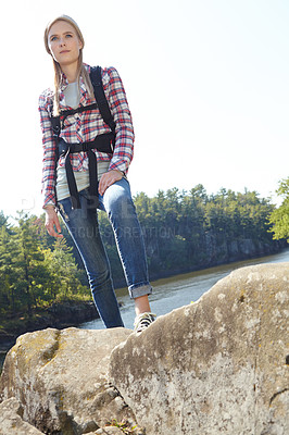 Buy stock photo Hiking, peace and explore with woman in nature for wildlife biologist, field research and ecology. Wellness, travel and adventure with person for environment study, conservation and forest mockup