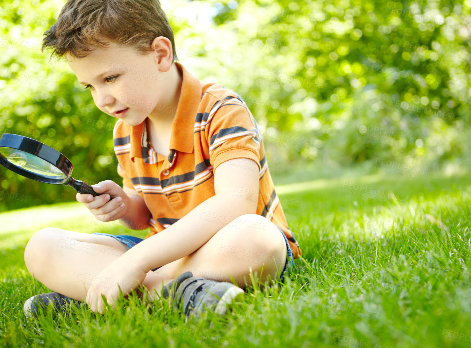 Buy stock photo Outdoor, child and grass with magnifying glass for check, observe ecology and learning nature with smile. Backyard, young boy and curious with tool for discovery, studying biology and plant knowledge