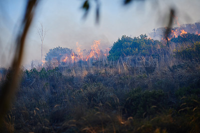 Buy stock photo Shot of a wild fire burning