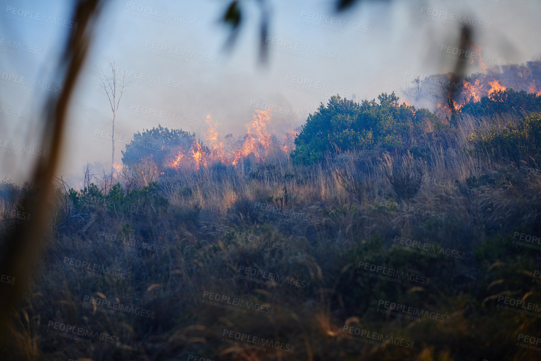 Buy stock photo Shot of a wild fire burning