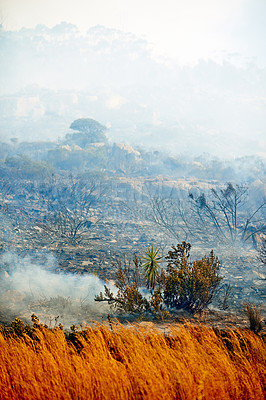 Buy stock photo Shot of a wild fire burning