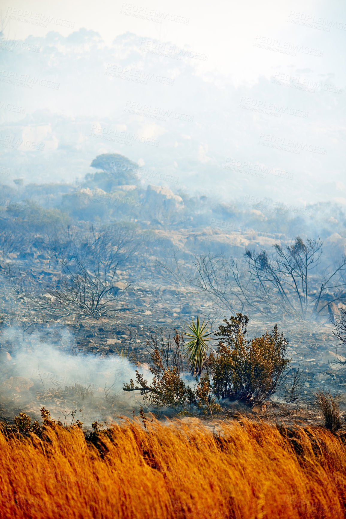 Buy stock photo Shot of a wild fire burning