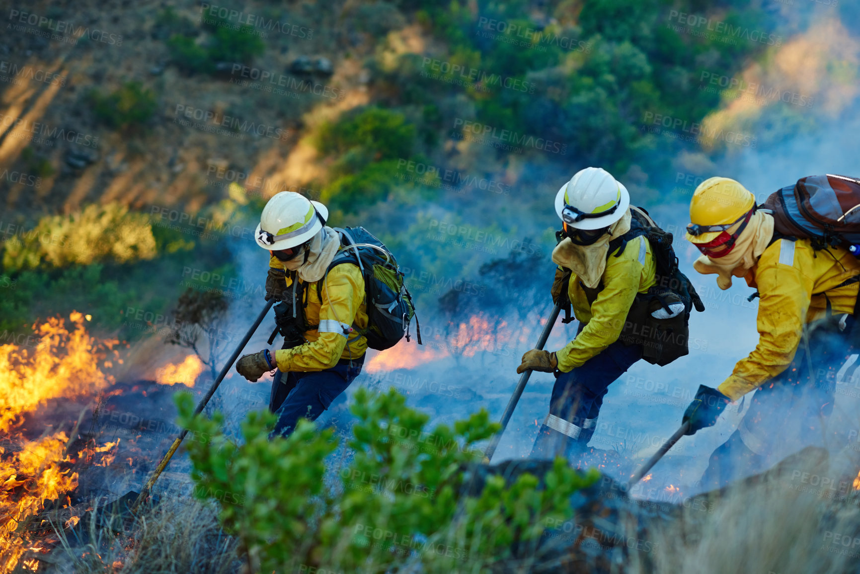 Buy stock photo Fire, forest and men with teamwork for emergency, disaster management and damage control in bush. Mountain, flame and people in firefighter service, rescue volunteer and safety in nature conservation