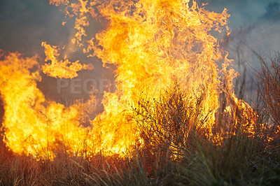 Buy stock photo Nature, wild and fire with flames in bush for natural disaster, destruction or emergency. Empty, smoke and burning grass on mountain for climate change, destroyed ecosystem or habitat in Australia