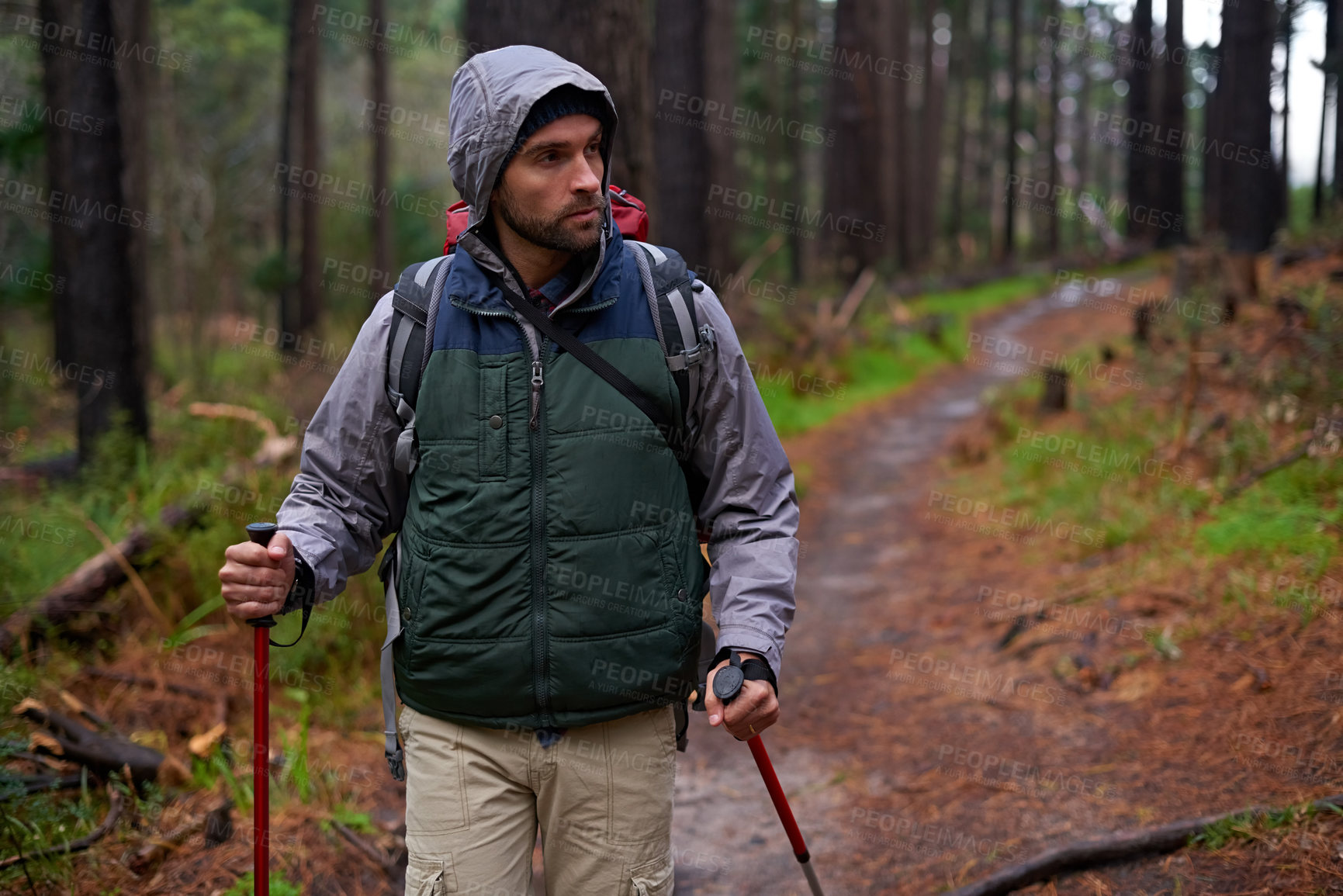 Buy stock photo Shot of a handsome man hiking in a pine forest using nordic walking poles