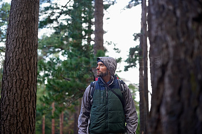 Buy stock photo Male person, hiker and forest for wellness with backpack, gear and fitness for sports, recreation and health. Man, hiking and trail for wellbeing, strength and endurance in nature for adventure