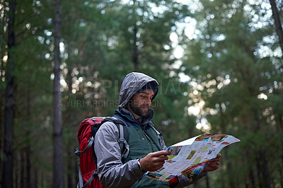 Buy stock photo Shot of a man in a pine forest with a map, figuring out his orientation