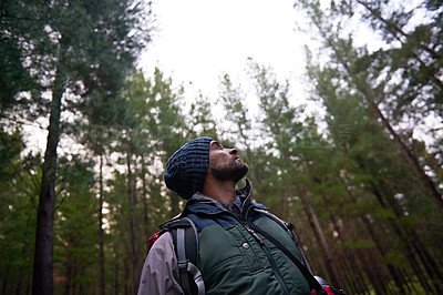 Buy stock photo Man, forest and hiking, nature view and travel with trees, sightseeing and tourism for backpacking in Europe. Adventure, journey and trekking in park for exploring, holiday and freedom outdoor