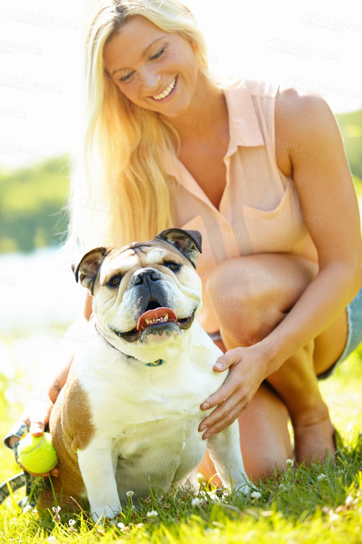 Buy stock photo A dog looking at the camera while his owner looks at him lovingly 