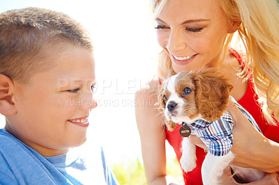 Buy stock photo Shot of a mother handing her son a puppy 