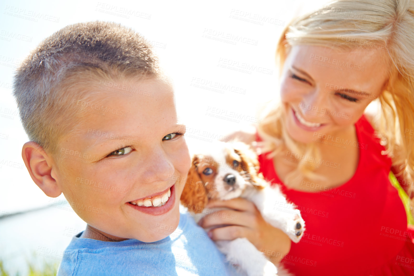 Buy stock photo Portrait of a happy boy holding his new puppy with his mother smiling at him