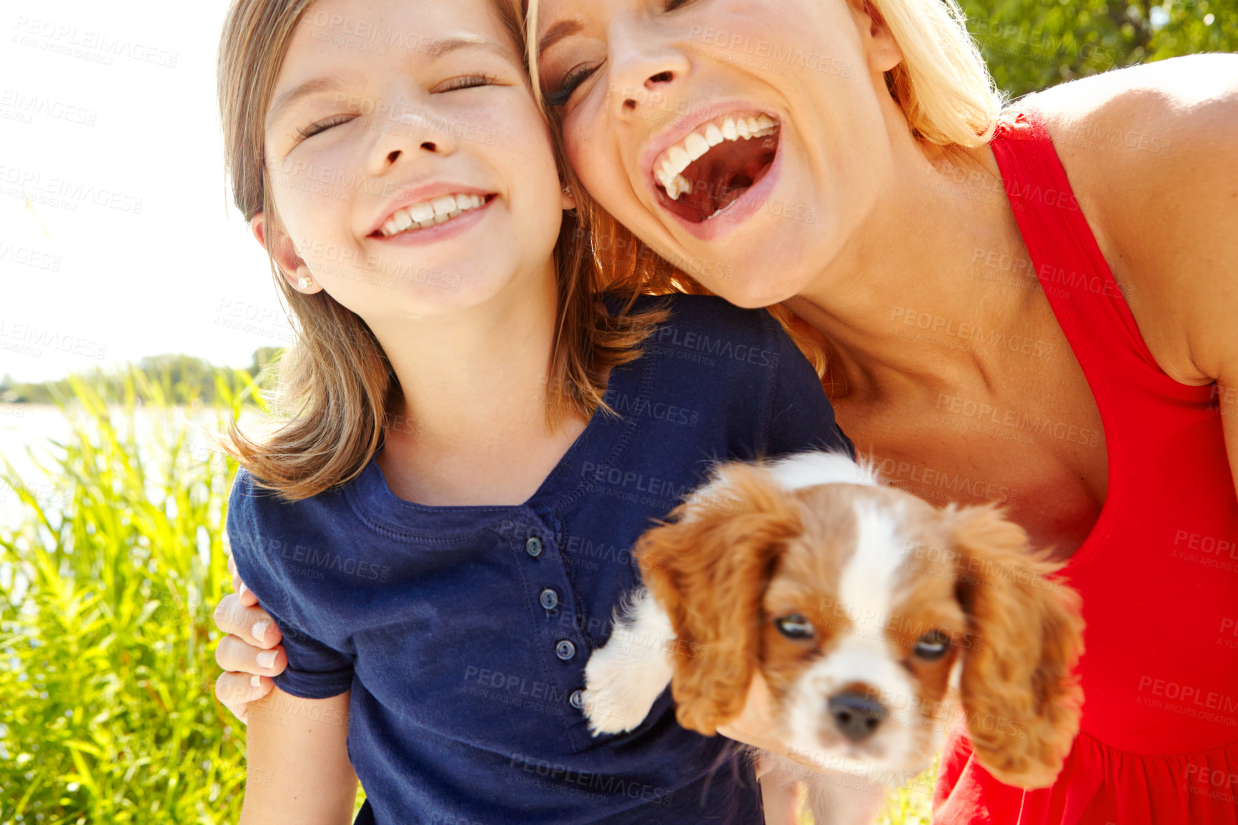 Buy stock photo A happy mother and daughter holding a cute puppy while they stand outside