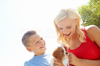 Buy stock photo Shot of a mother and son giving their new puppy a lot of attention as they stand outside with copyspace