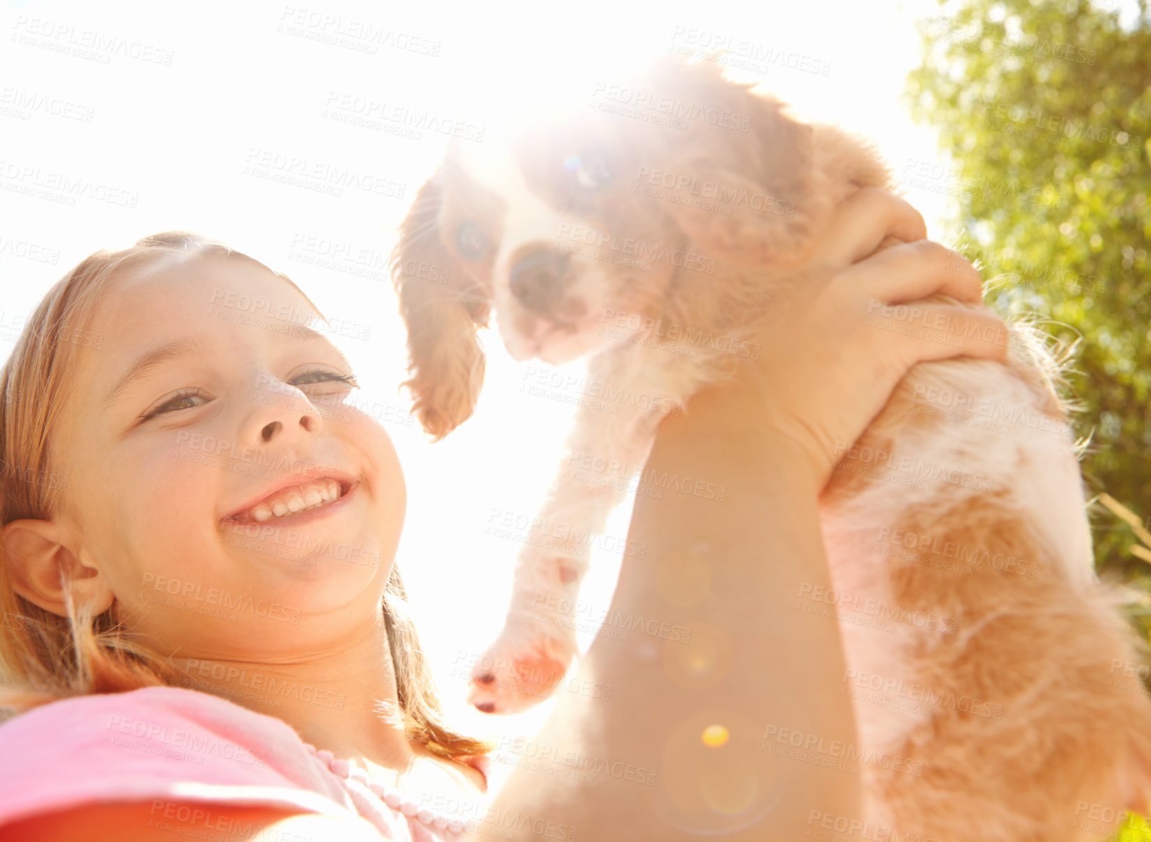 Buy stock photo Portrait of a happy girl holding her dog in the sunshine of a Meadow