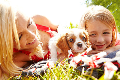 Buy stock photo Shot of a happy mother, daughter and puppy lying on a blanket in a park