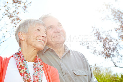 Buy stock photo Happy, love and view with old couple in park for retirement, romance and reflection. Support, marriage milestone and vision with senior man and woman in nature for wellness, care and date together