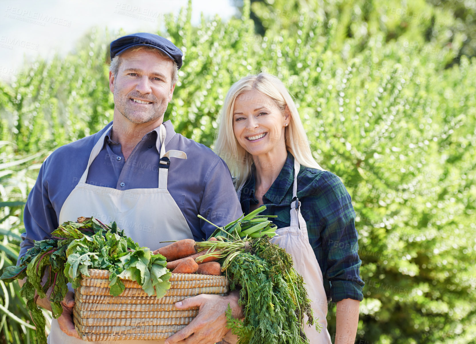 Buy stock photo Portrait, mature couple and farming in nature with vegetables, nutrition and happy together. Man, woman and pride for sustainability, small business and harvest for vegan diet in environment 