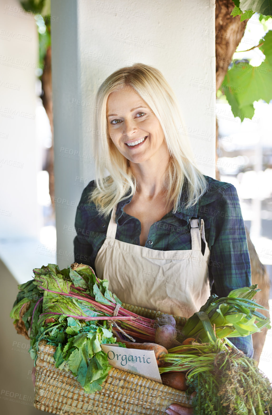 Buy stock photo Farming, vegetables and portrait of woman with basket for agriculture, harvest or organic produce. Cultivation, fresh crop and female person with apron for agro business, gardening or sustainability