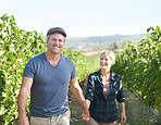Exploring the vineyard together