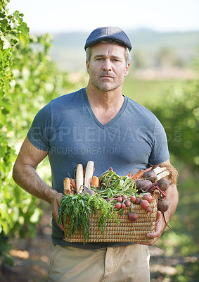 Buy stock photo Portrait, farmer and agriculture with vegetables and basket, organic produce and food in countryside. Sustainability, plant or smile in rural for harvest and male person, field and box for production