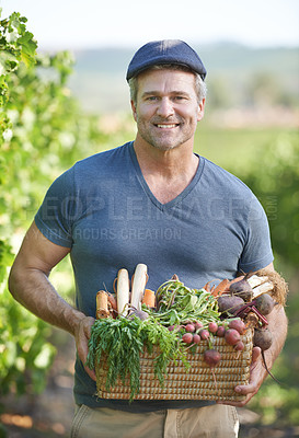 Buy stock photo Agriculture, farming or produce and portrait of man with basket for organic harvest outdoor in field. Earth, environment and spring with happy mature farmer person carrying vegetables in season