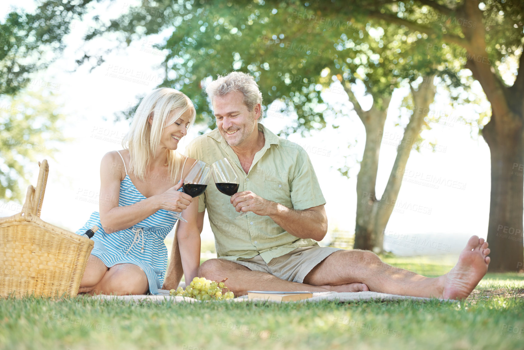 Buy stock photo A happy husband and wife toasting with a glass of wine as they enjoy a picnic outside in a park on a summer's day