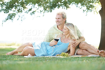 Buy stock photo A smiling husband and wife enjoying a leisurely picnic in the park