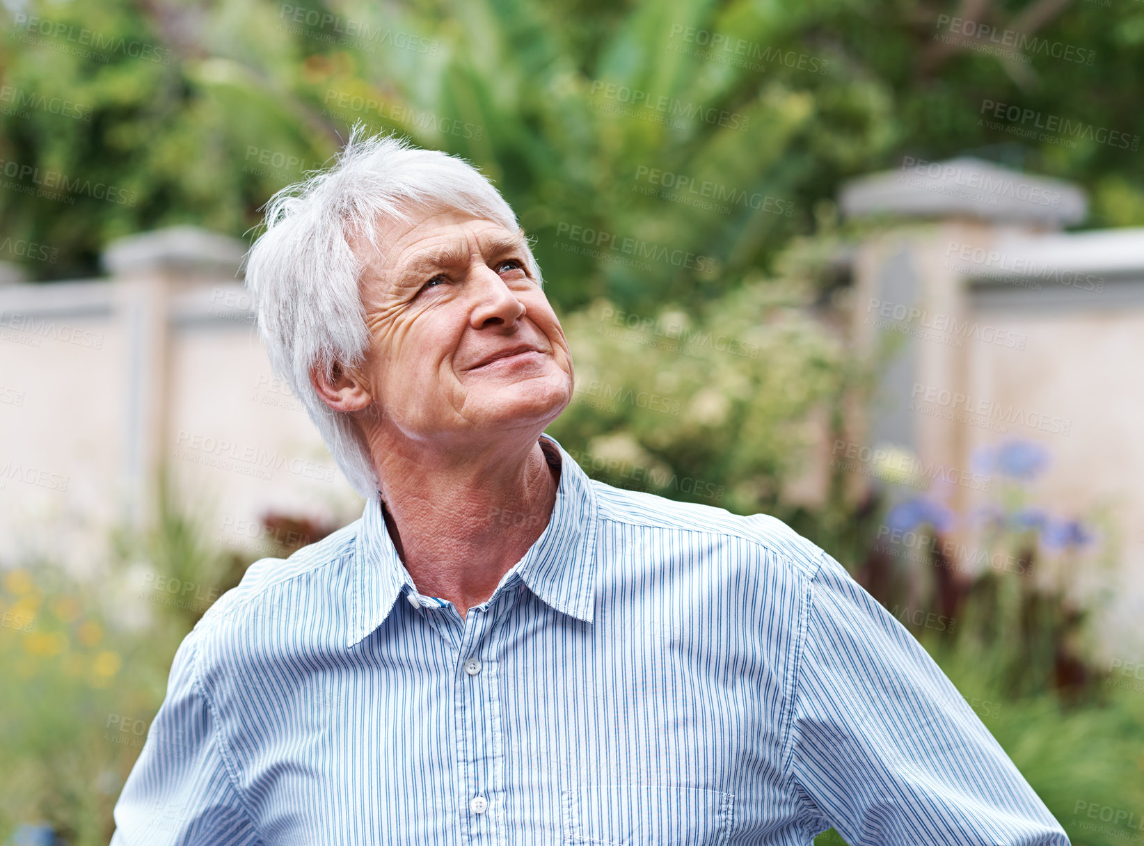 Buy stock photo Vision, thinking and senior man in garden with reflection and remember past memory in backyard. Retirement planning, nature and person with idea, dream and mindset for hope outdoor with nostalgia