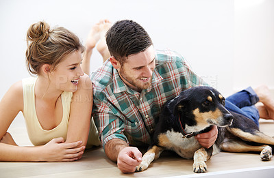 Buy stock photo Shot of an affectionate young couple lying on the floor with their dog