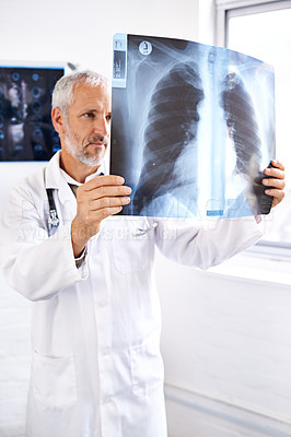 Buy stock photo Shot of a mature male doctor examining an x-ray image